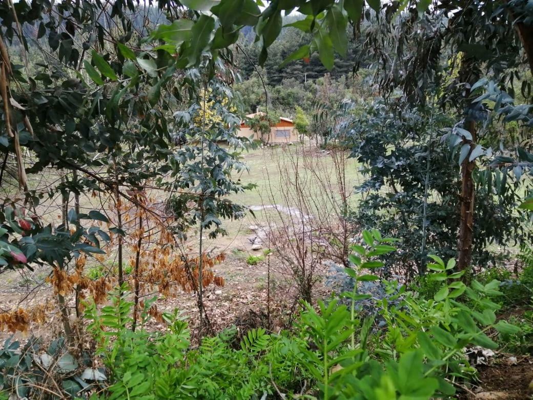 El Fogon De Rio Claro Hotel Exterior photo